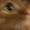 @afsvxa