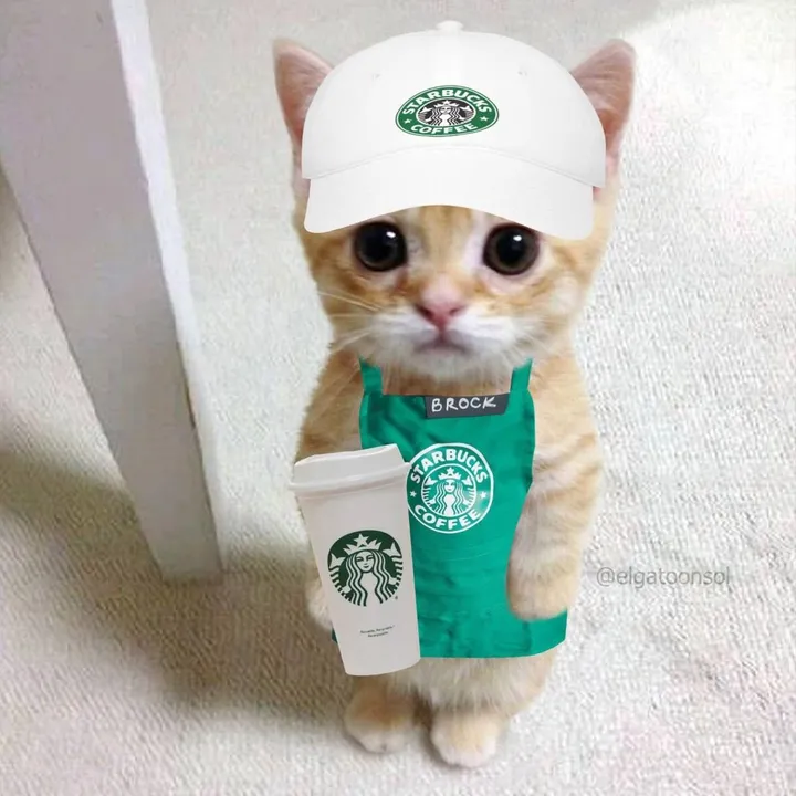 yourlocalstarbies