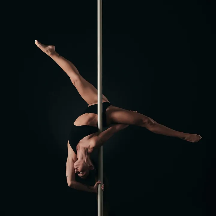 polly.pole