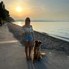 sunny_foxy_dog
