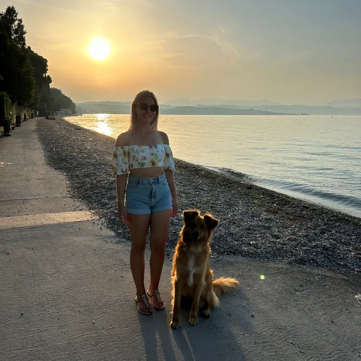 @sunny_foxy_dog