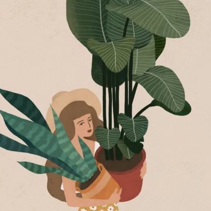 @plantsmoni