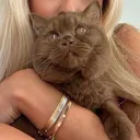 @goldekelly