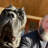 dogmansshadow