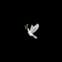 @n7rmou