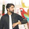 faisal49__