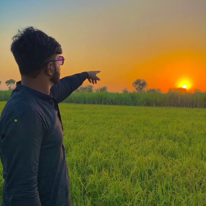 punjabishair40