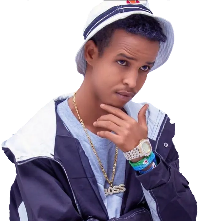 mrmoli12