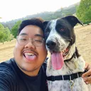@hellochrisdo