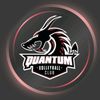 quantumvolleyball