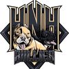 hnhbullies
