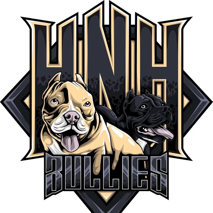 hnhbullies