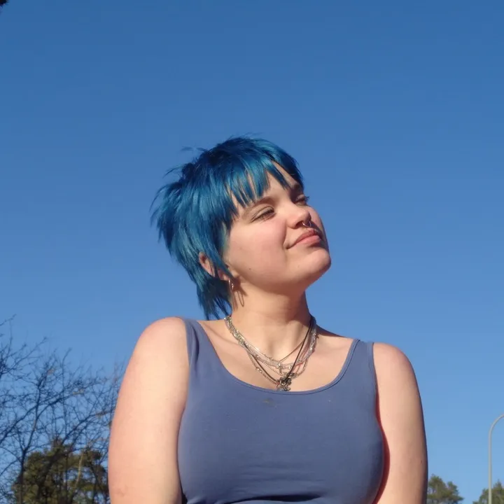 punkpajas