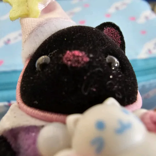panditajpm