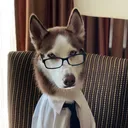 @redgroverredgrover