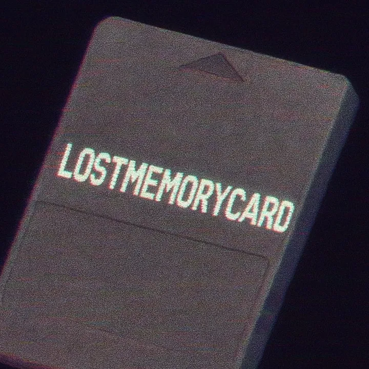 lostmemorycard