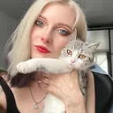 @five_mad_cats