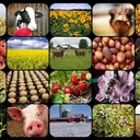 @farmzonenetworks