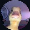 ._.dracooo0