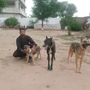 @arshad.hussain9903
