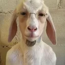 @geruomx