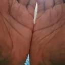 @kingdom5041