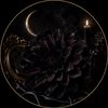 dahliaoflillith