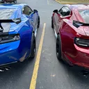 @wildzl1