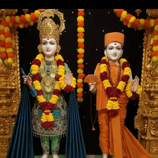 @bijalpatel4985