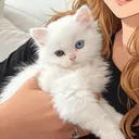 @laily01012