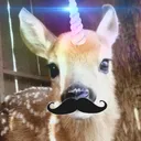 @imsosugarpilled