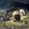j.duckett