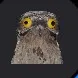 @mist.on.tiktok