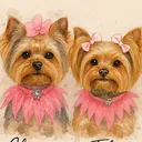 @chicago.tokyo.yorkies