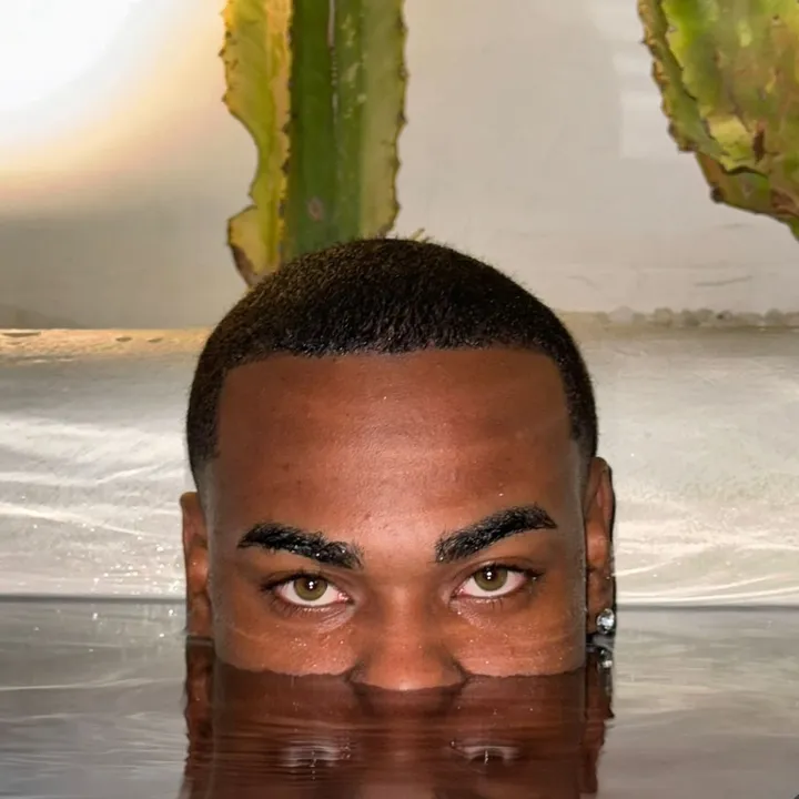 olliverallex