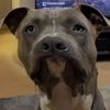 pheonixdreemkeeper