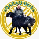 @qazaq_qoy
