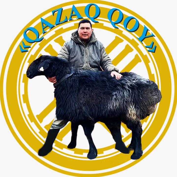 qazaq_qoy