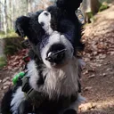 @cozy_stuffed_paws