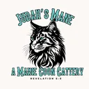 @judahsmanemainecoons