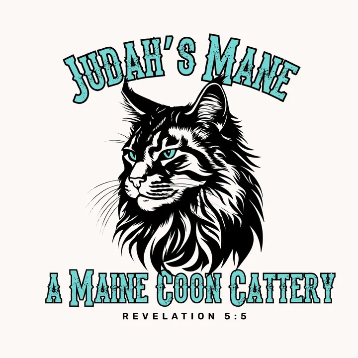 judahsmanemainecoons