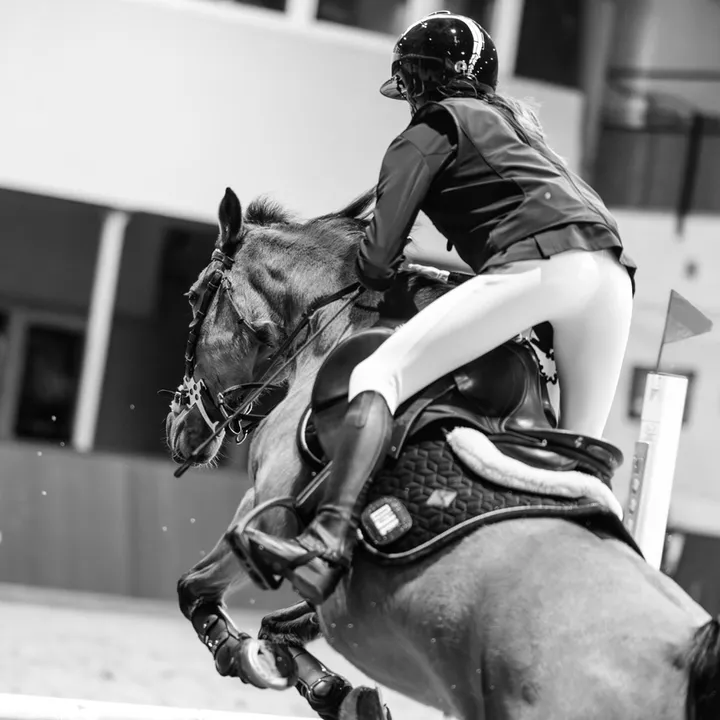 ali._.sportpony