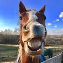 @andersonacresfarmlife