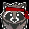 ninjaracoony