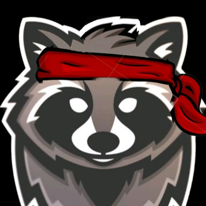 ninjaracoony