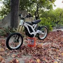 @81v_willy