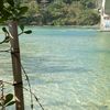 praiadosamores_real