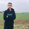 bay_ibo1