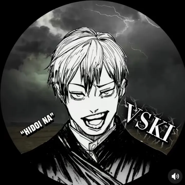 vskivr21