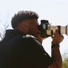 dpmedia_